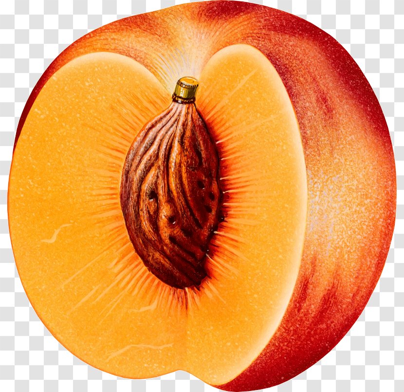 Peach Fruit Clip Art Transparent PNG