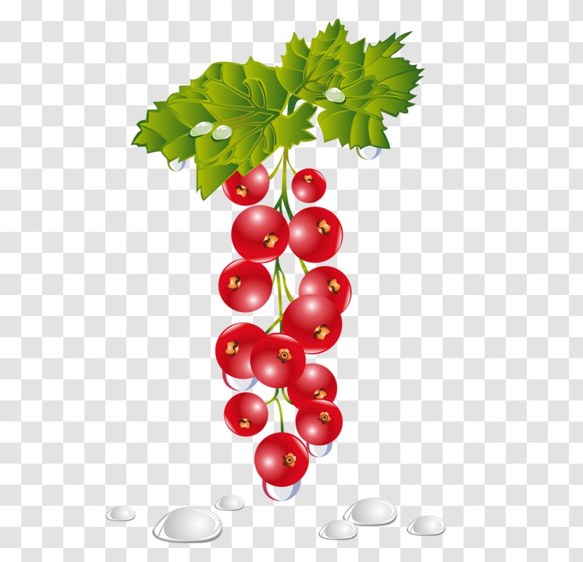 Fruit Clip Art - Creativity - A Bunch Of Grapes Transparent PNG