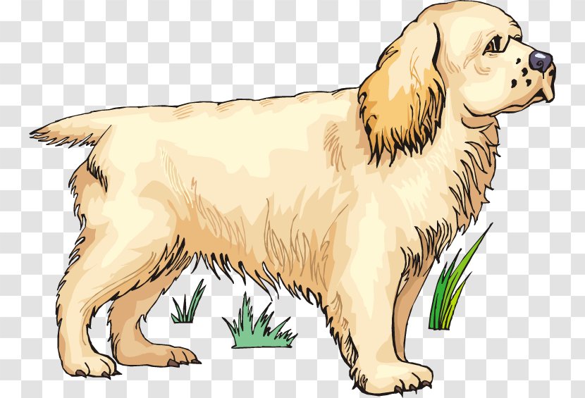 Golden Retriever Puppy Dog Breed Spaniel Companion - Paw Transparent PNG