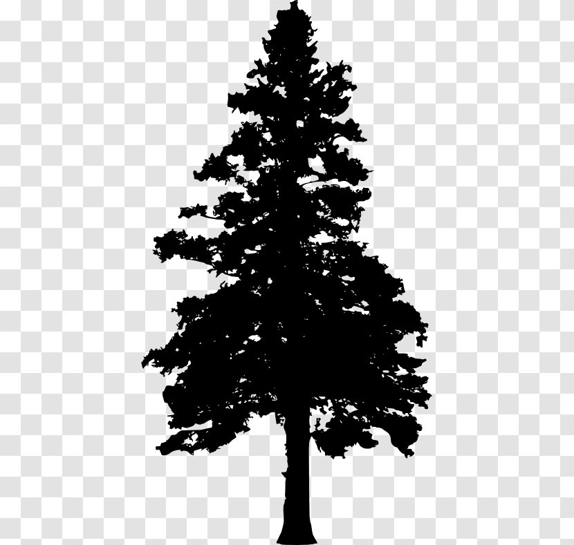 Pine Tree Evergreen Clip Art Transparent PNG