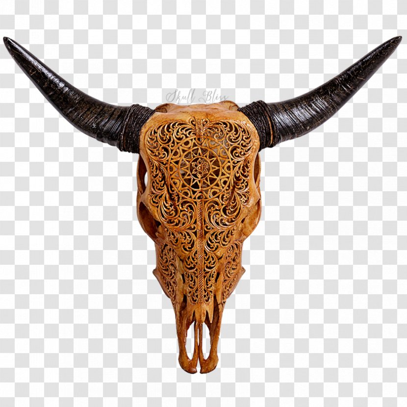 Texas Longhorn English Human Skull Symbolism - Animal Transparent PNG