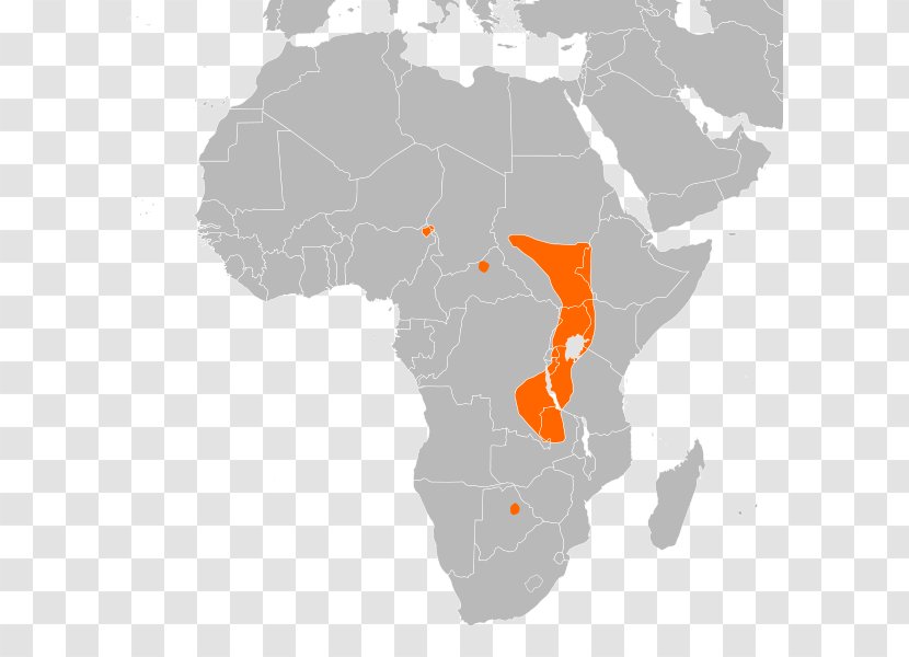 Somalia Somali Region Djibouti Eritrea Adal Sultanate - Horn Of Africa Transparent PNG