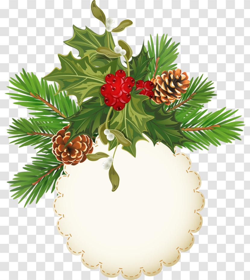 Pine Conifer Cone Christmas Ornament Clip Art - Tree - Frame Transparent PNG