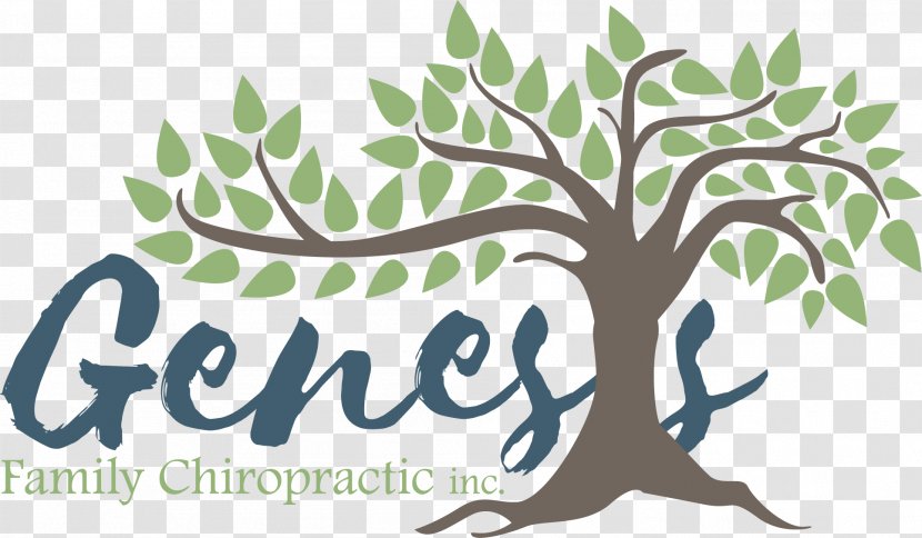 Genesis Family Chiropractic Inc. NUCCA Genealogy - Leaf Transparent PNG