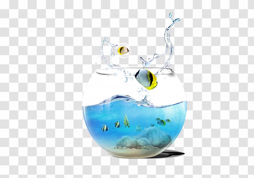 Aquarium Fish Computer File - Butterflyfish - Sea Elements Transparent PNG