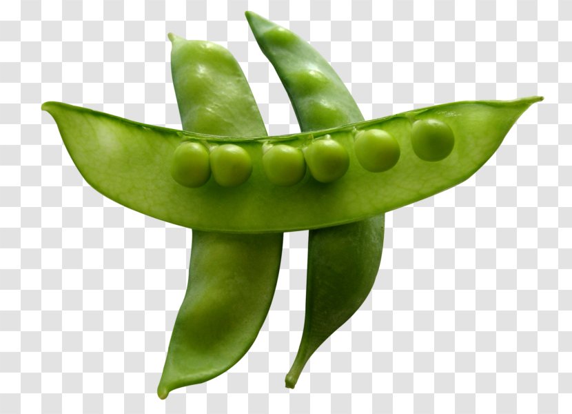 Snow Pea Snap Vegetable Bean Green - Pois Doux Thika Transparent PNG