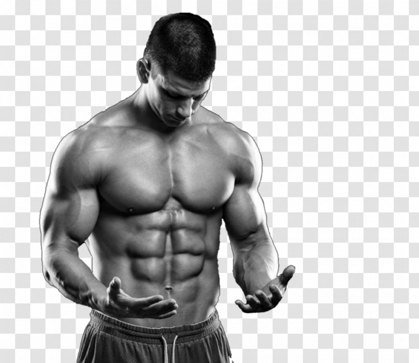 Human Body Physical Fitness Bodybuilding Muscle Fat Percentage - Flower Transparent PNG