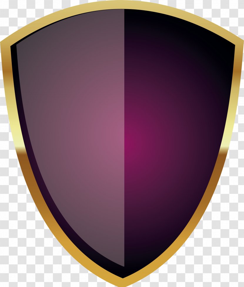 Shield Icon - Eyewear - Warrior Transparent PNG