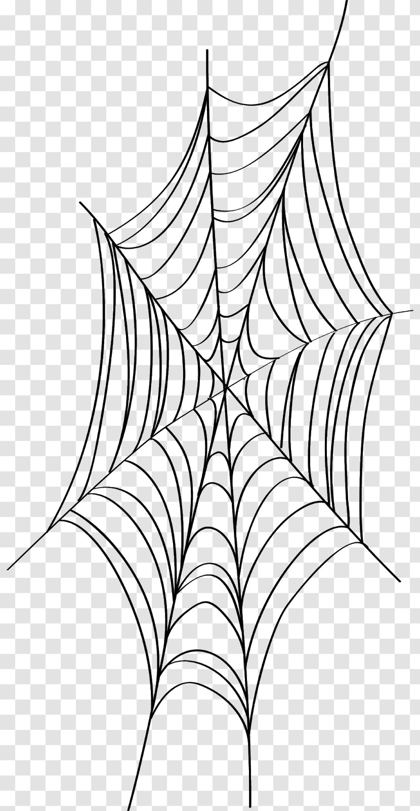 Spider Web Clip Art - Computer Software Transparent PNG