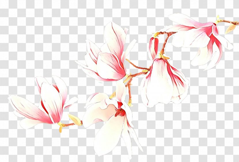 Pink Plant Flower Pedicel Transparent PNG