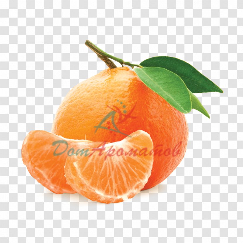 Mandarin Orange Desktop Wallpaper Fruit - Rangpur - Mandarina Transparent PNG