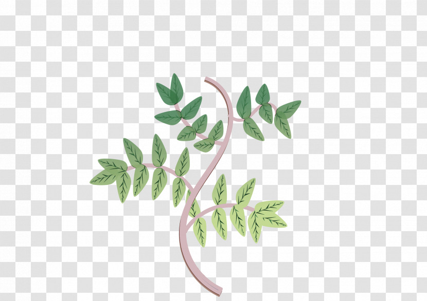 Leaf Plant Stem Twig Tree Meter Transparent PNG