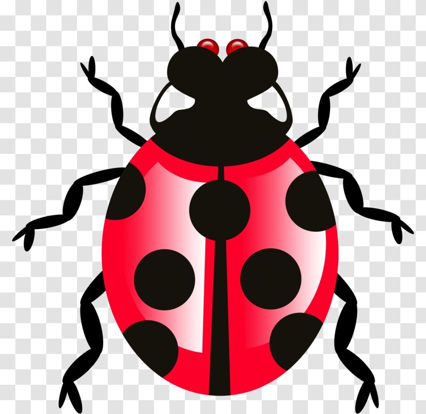 Ladybug - Beetle - Pest Transparent PNG