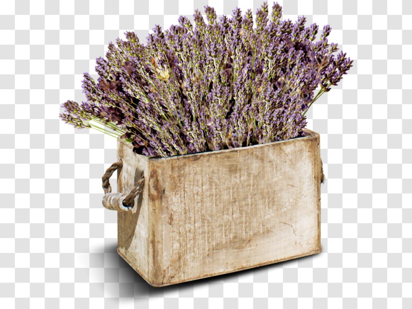 Plateau De Valensole French Lavender Paper Decoupage - Flowerpot - Flower Transparent PNG