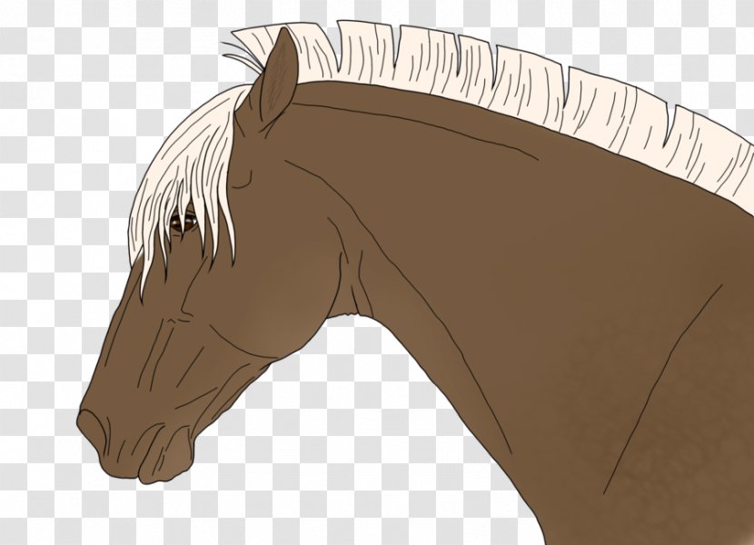 Mane Mustang Rein Halter Bridle - Horse Transparent PNG