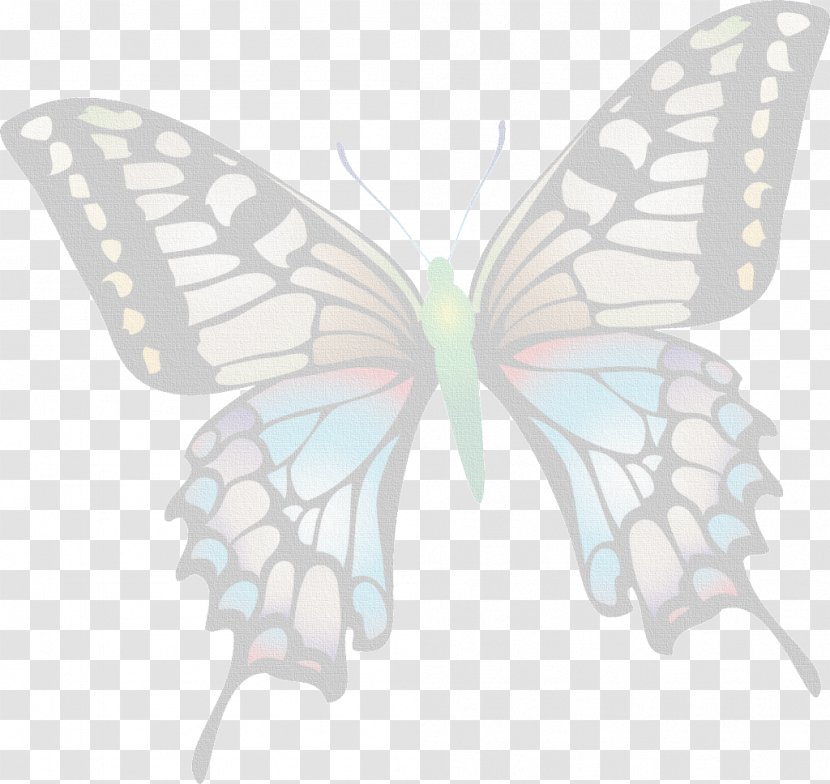 Old World Swallowtail Butterflies And Moths Clip Art Butterfly Image - Of Nature Transparent PNG