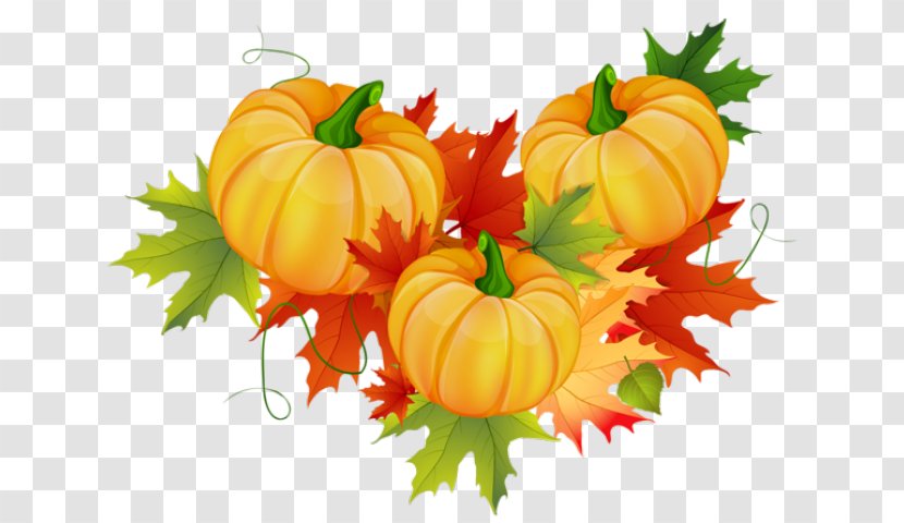 Thanksgiving Clip Art Image Pumpkin - Local Food - Ornament Transparent PNG