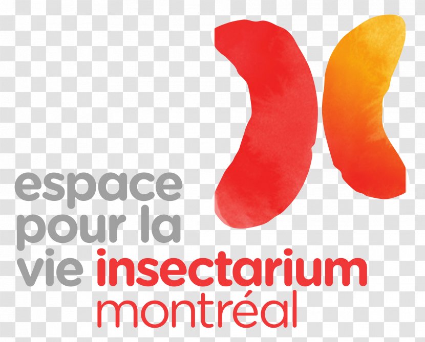 Montreal Insectarium Biodome Space For Life Logo Bee Transparent PNG