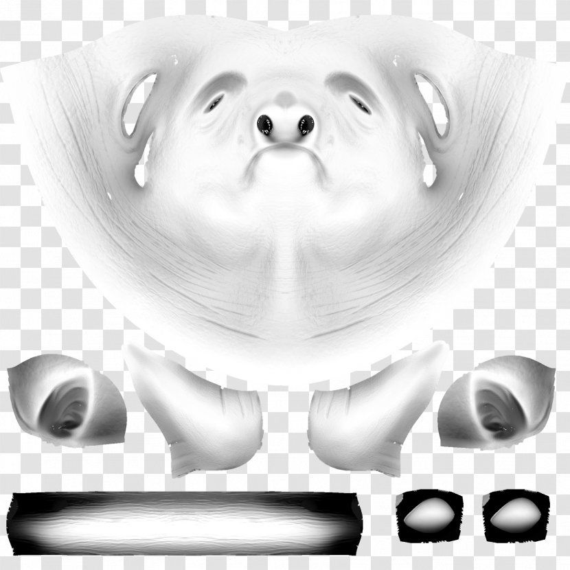 Dog Tooth Snout Drawing Jaw - Flower Transparent PNG