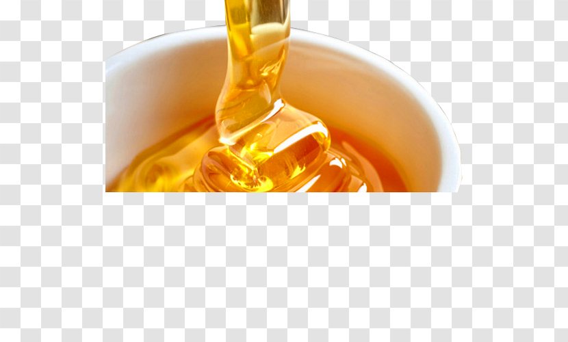 Honey Bee Drinking Food Feces - Liquid - Natural Transparent PNG