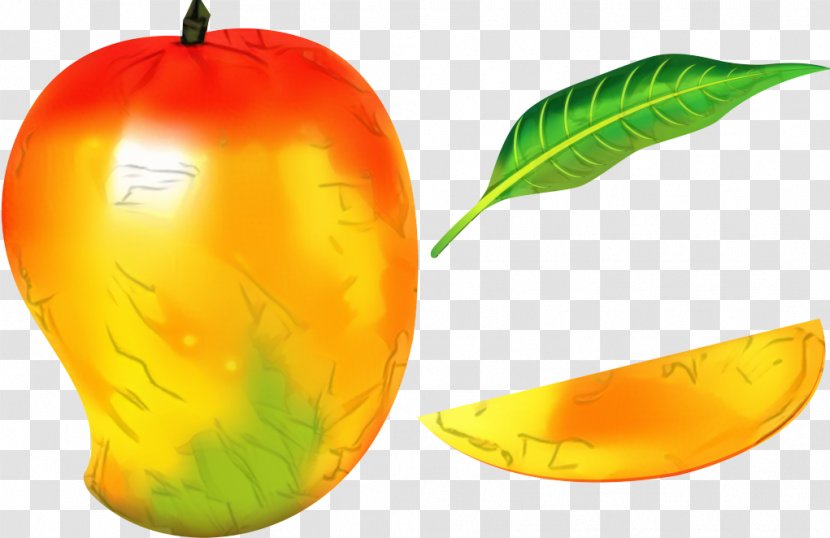 Drawing Mango Image Clip Art Fruit - Plant Transparent PNG