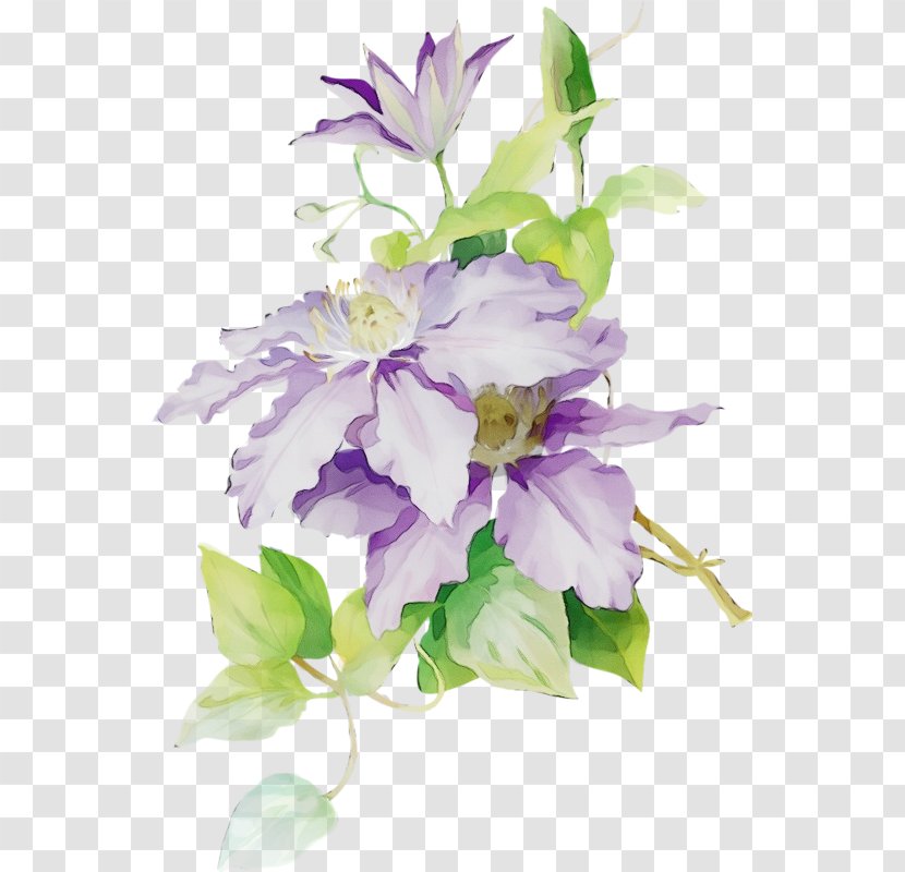 Bouquet Of Flowers Drawing - Purple - Perennial Plant Transparent PNG