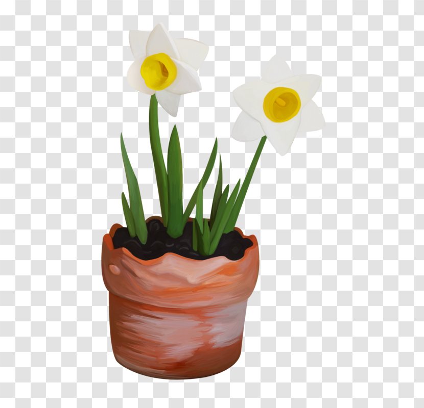 Narcissus Flowerpot - Flowering Plant - Flower Transparent PNG