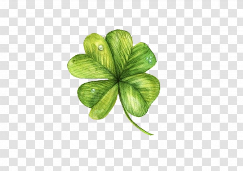 Four-leaf Clover Computer File - Saint Patricks Day - Painted Transparent PNG