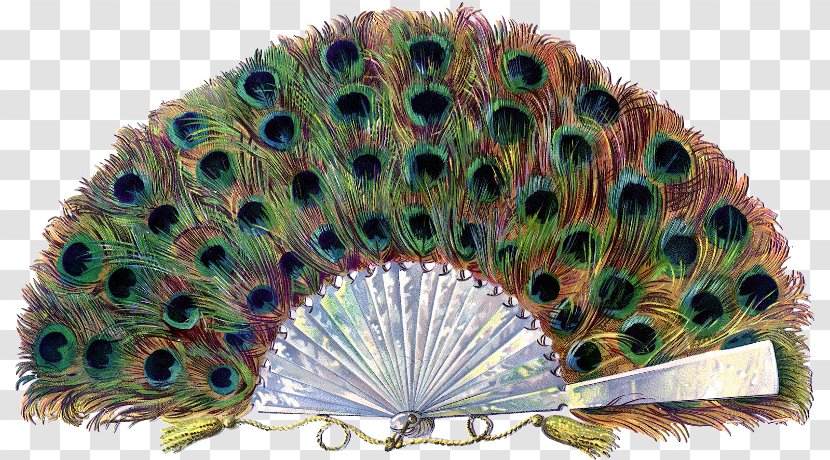 Feather Paper Hand Fan Pavo - Ring - Peacock Transparent PNG