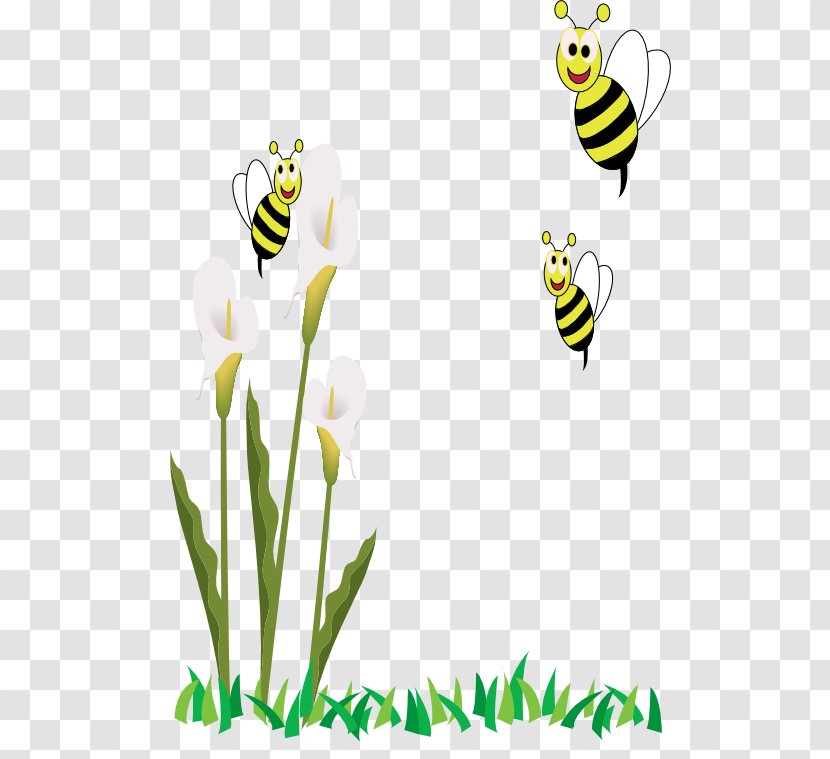 Honey Bee Clip Art Image Illustration - Plant Transparent PNG