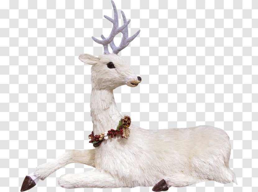 Reindeer - Drawing - White Transparent PNG