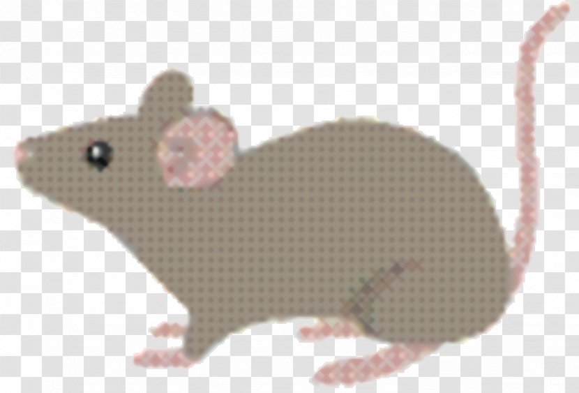 Microscope Cartoon - Pest - Tail Animal Figure Transparent PNG