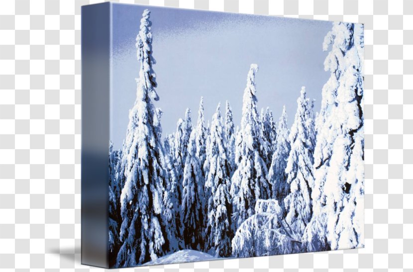 Finland - Conifer - The Four Seasons Of Nature: Spring-Summer-Autumn-Winter / Photo Book Luontoretki: Pohjois-KarjalaMaisemiaLuonnon Taidetta North Karelia Nature Story SpruceSnow Forest Transparent PNG