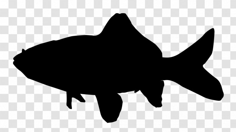 Common Goldfish Silhouette Drawing - Fish Transparent PNG