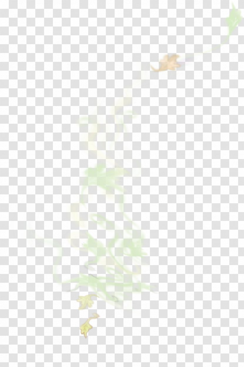 Leaf - White - Petal Transparent PNG