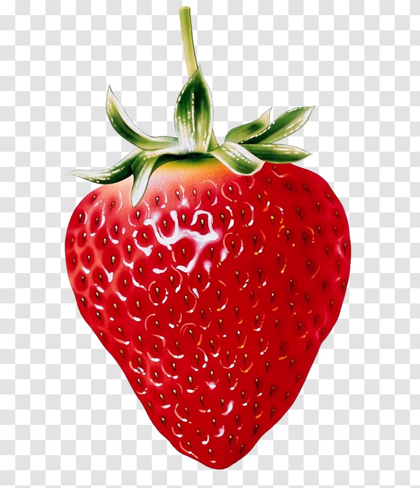 Strawberry Fruit Painting Drawing Art - Superfood - Strawberries Transparent PNG