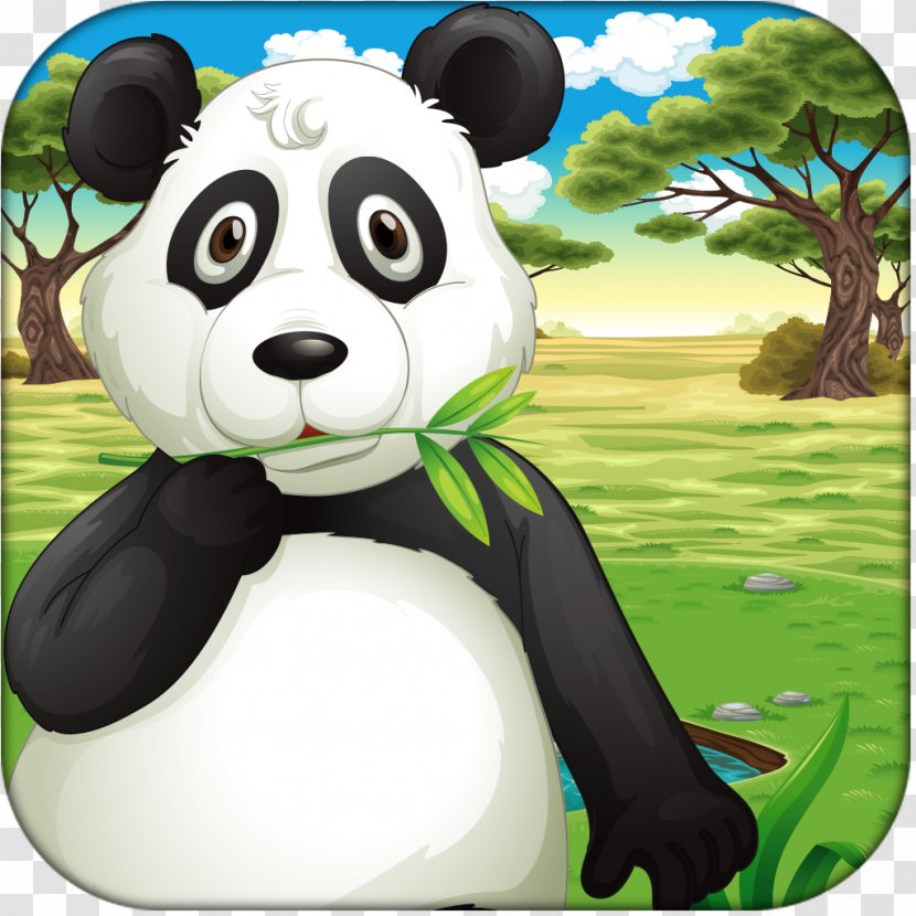 Giant Panda Bear Omnivore Transparent PNG