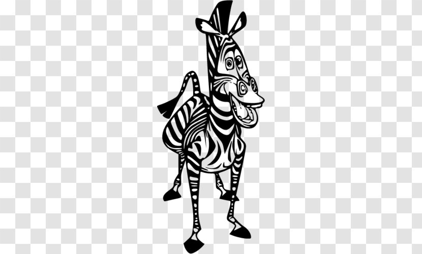 Zebra Cartoon - Penguin - Burro Line Art Transparent PNG