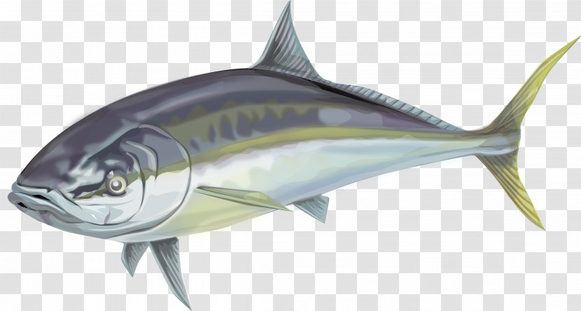 Swordfish Thunnus Oily Fish Mackerel - Fauna Transparent PNG