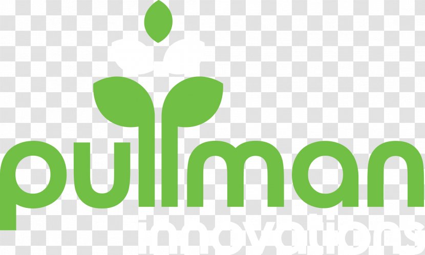 Pullman Innovations Business Sugar - Green Transparent PNG