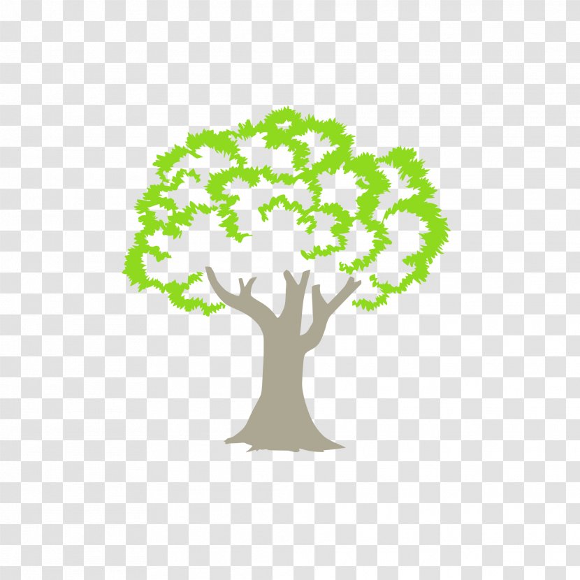 Tree Logo Woody Plant Anacardiaceae Branch - Royaltyfree - Green Transparent PNG