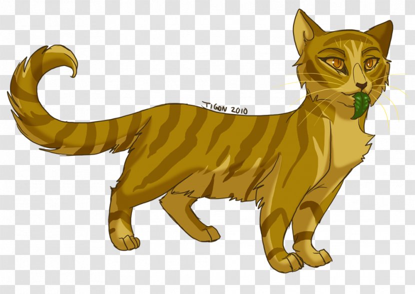 Into The Wild Forest Of Secrets Cat Warriors Mothwing - Whiskers - Scary Cats Pictures Transparent PNG