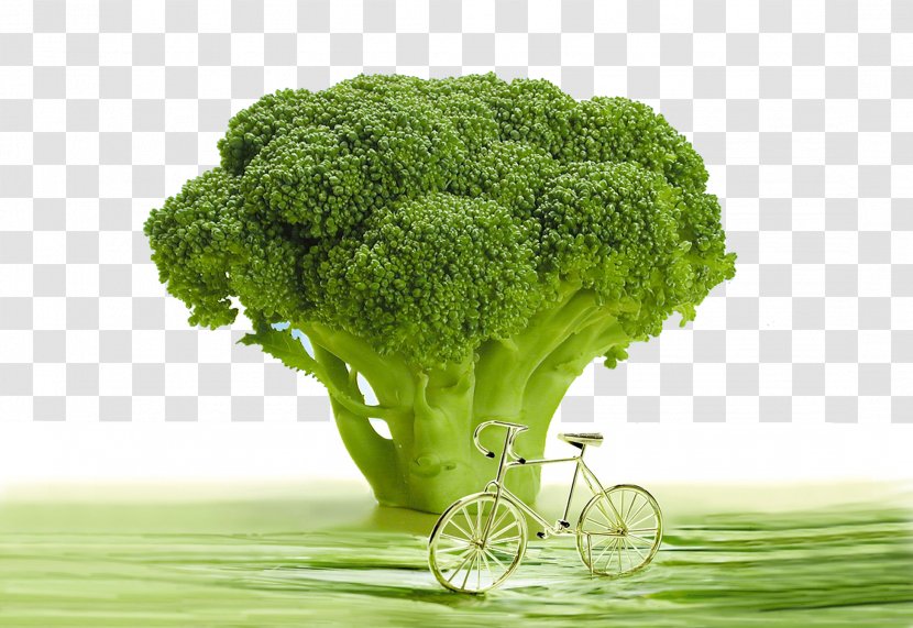Air Pollution Inflammation Dietary Supplement Raw Foodism Health - Broccoli And Bicycles Transparent PNG