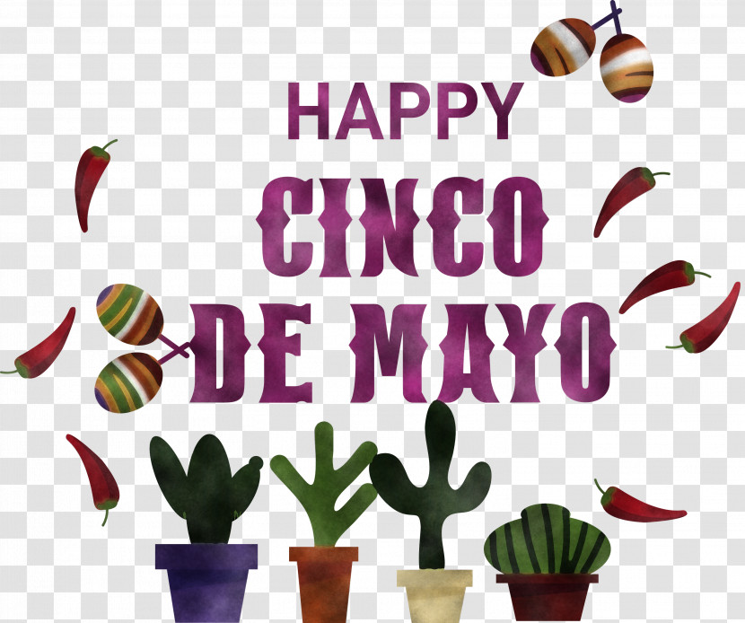 Cinco De Mayo Fifth Of May Mexico Transparent PNG