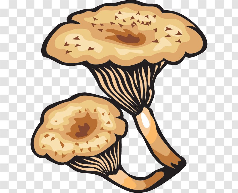 Mushroom - Organism - Fungus Transparent PNG