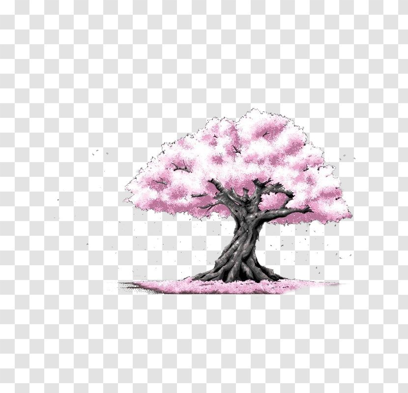 Cherry Blossom Tree Cerasus Drawing - Pink Transparent PNG