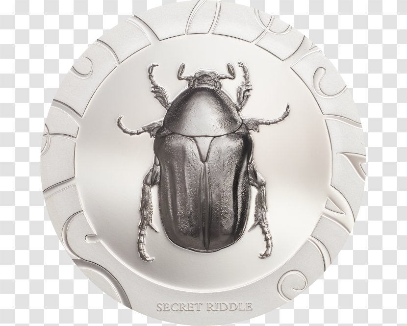 Beetle Silver Proof Coinage Scarab - Scarabaeus Transparent PNG