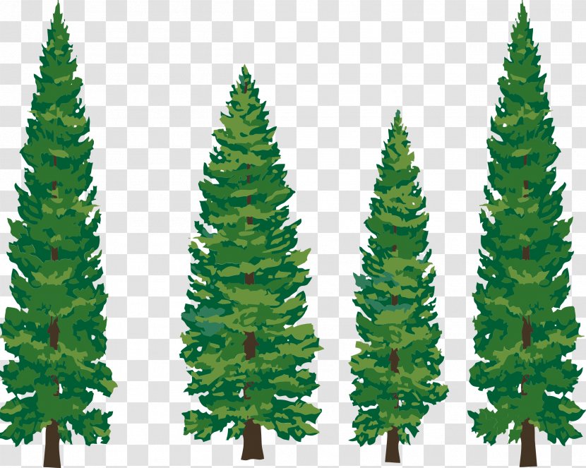 Tree Pine Fir Evergreen Clip Art - Illustration Transparent PNG