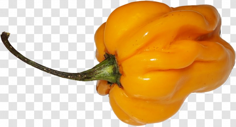 Habanero Chili Pepper Yellow Bell Paprika - Capsicum - Chili. Transparent PNG