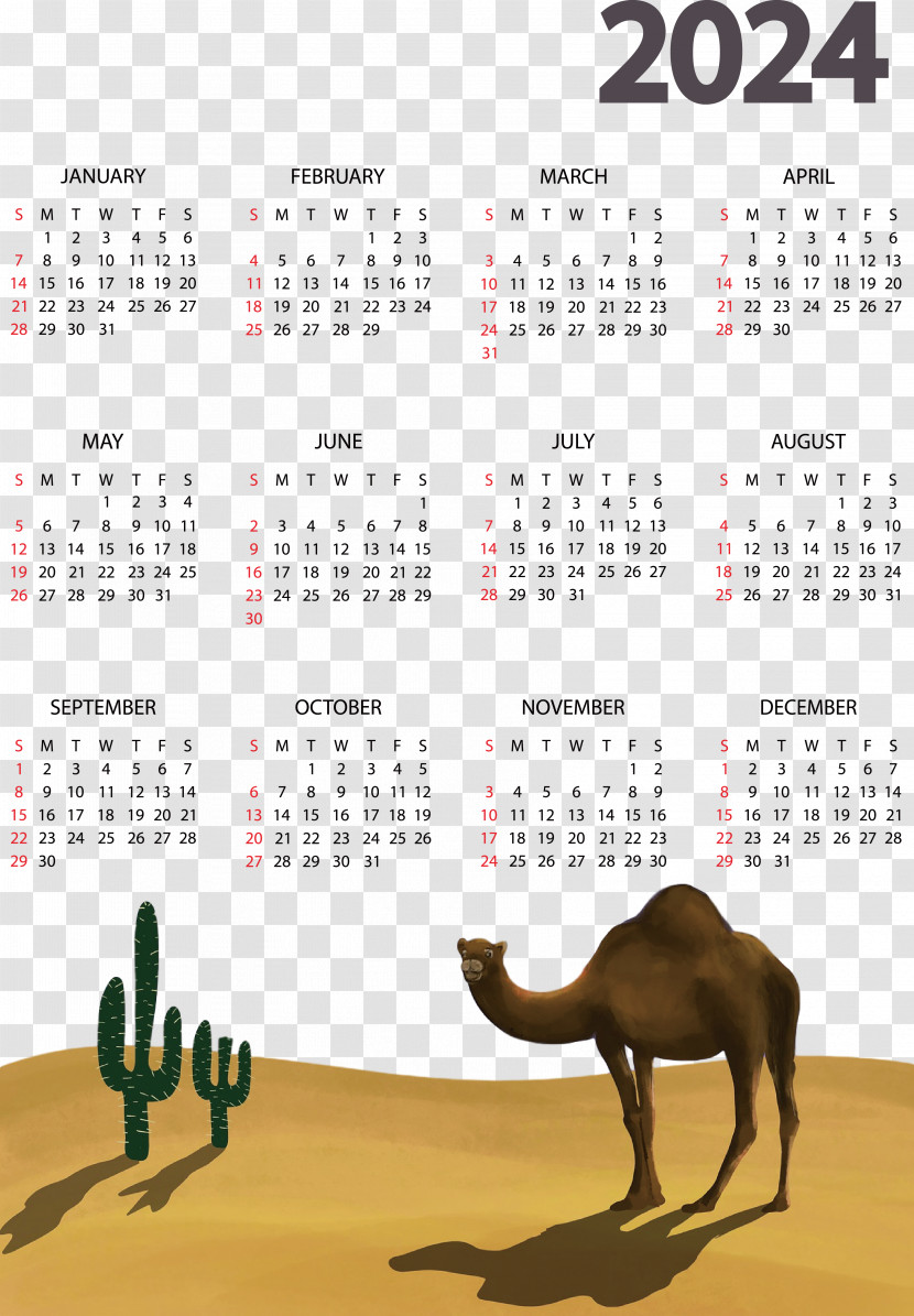 Calendar Font Transparent PNG